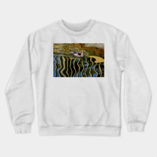 Abstract in Motion Crewneck Sweatshirt